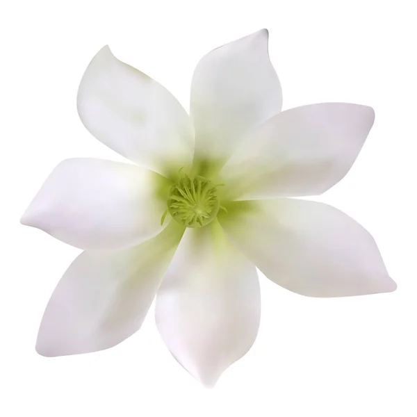 Όμορφη χειροποίητη Πολύχρωμο λουλούδι. Εικονογράφηση διάνυσμα. — Διανυσματικό Αρχείο