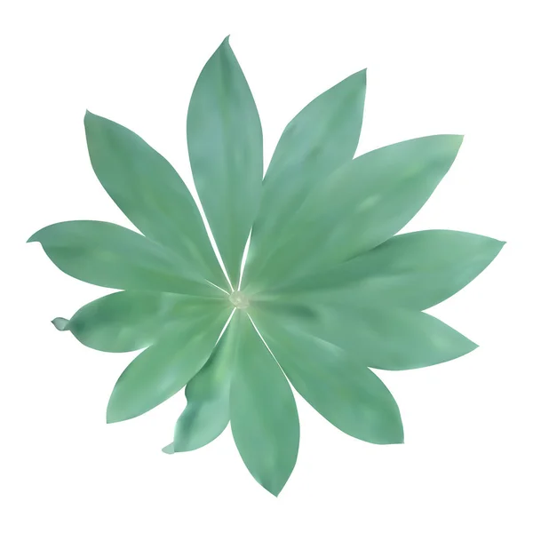 Groene blad geïsoleerd op een witte achtergrond. Vectorillustratie. — Stockvector