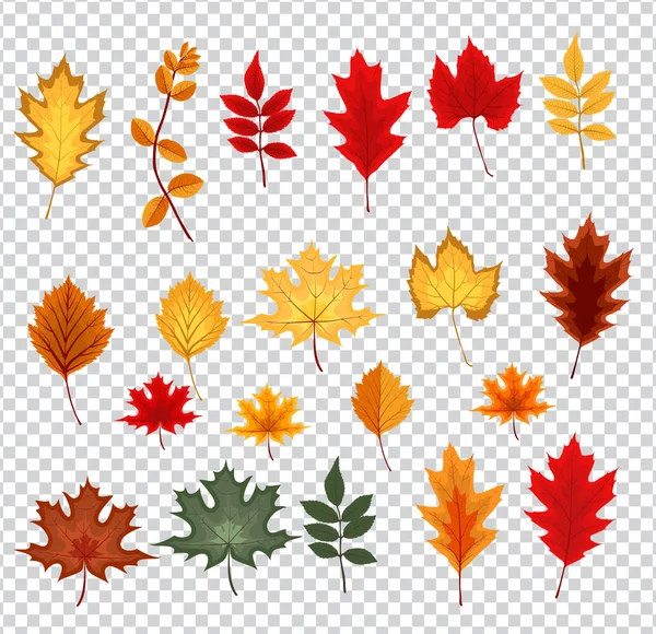 Abstract vectorillustratie met vallende Herfstbladeren op Trans — Stockvector