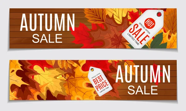 Abstract Vector Illustration Autumn Sale Background with Falling — Stock Vector
