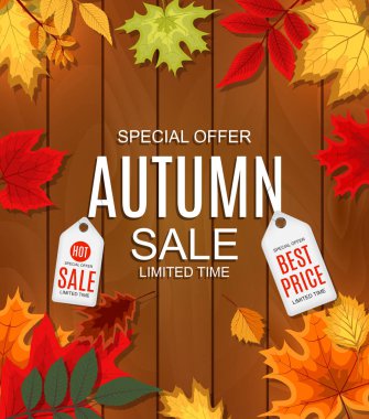 Sonbahar ile soyut vektör çizim sonbahar satış arka plan