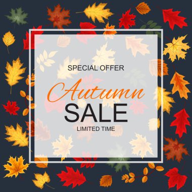 Soyut vektör çizim sonbahar satış arka plan düşme ile