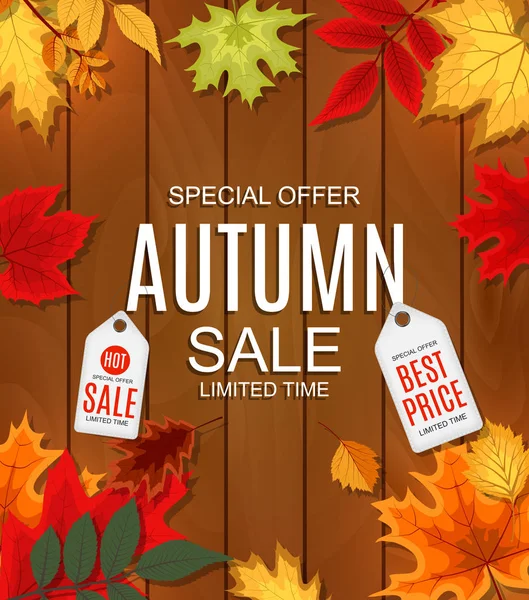 Sonbahar ile soyut vektör çizim sonbahar satış arka plan