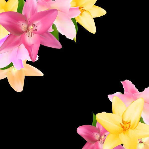Εικονογράφηση διάνυσμα με λουλούδια κρίνο που απομονώνονται σε μαύρο λεμονάτα — Διανυσματικό Αρχείο