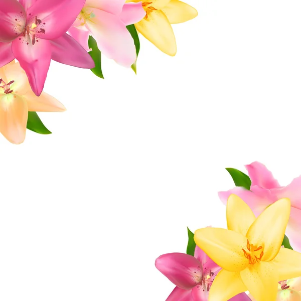 Vektor-Illustration mit Lilienblüten isoliert auf weißem Hintergrund — Stockvektor