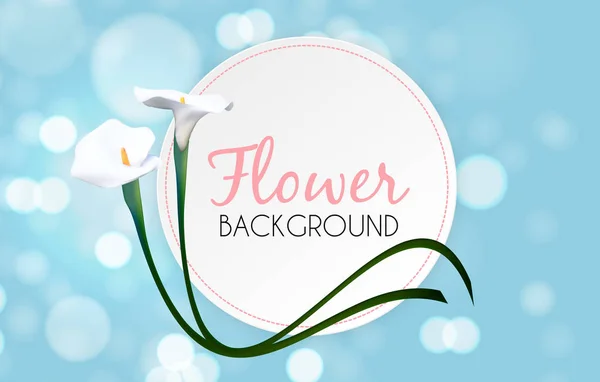 Resumen Antecedentes florales con Calla Flower. Ilustración vectorial — Vector de stock