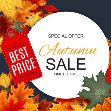 Düşen sonbahar yaprakları ile soyut vektör çizim sonbahar satış arka plan