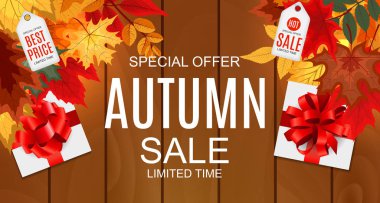 Düşen sonbahar yaprakları ile soyut vektör çizim sonbahar satış arka plan