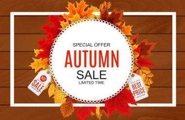 Düşen sonbahar yaprakları ile soyut vektör çizim sonbahar satış arka plan