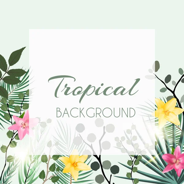 Fondo de marco tropical natural abstracto con palma y otras hojas y flores de lirio. Ilustración vectorial — Vector de stock