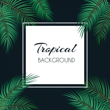 Palmiye yaprağı vektör arka plan beyaz bir çerçeve çizim ile
