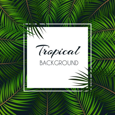 Palmiye yaprağı vektör arka plan beyaz bir çerçeve çizim ile