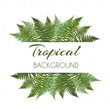 Fern yaprak vektör arka plan beyaz bir çerçeve çizim ile