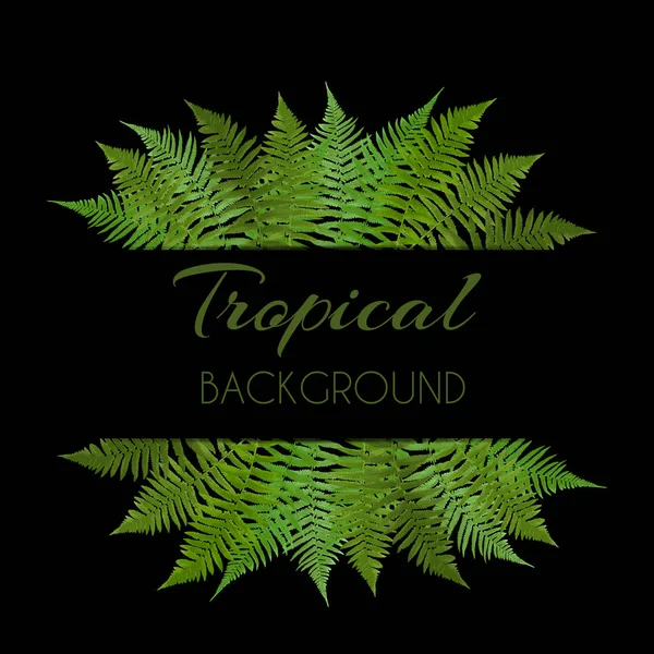 Fern yaprak vektör arka plan beyaz bir çerçeve çizim ile