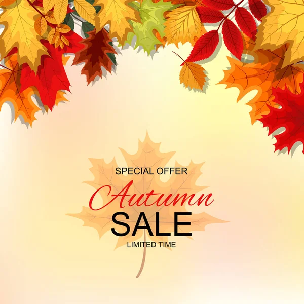 Abstract Vector Illustration Autumn Sale Background with Falling — Stock Vector
