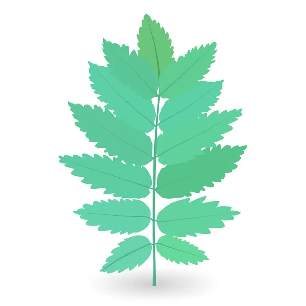 Färgglada naturalistiska gröna blad på gren. Vector Illustratio — Stock vektor