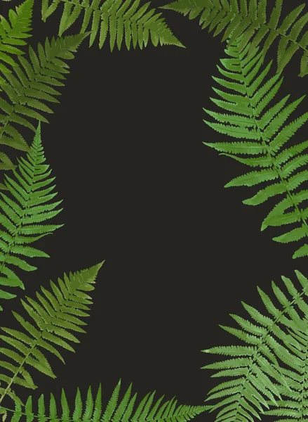 Fern Leaf vettoriale sfondo illustrazione — Vettoriale Stock