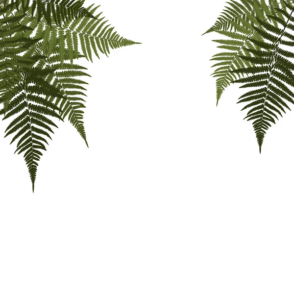 Fern Leaf Vector Background Illustration — Stock Vector