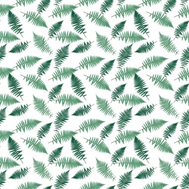 Fern yaprak vektör Fern yaprak vektör Dikişsiz desen arka plan Il