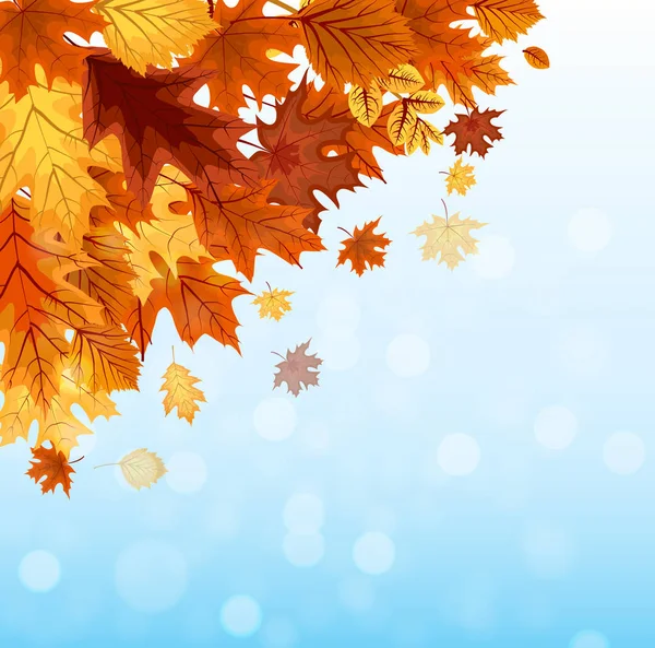 与下降的秋天树叶抽象矢量图背景 — 图库矢量图片