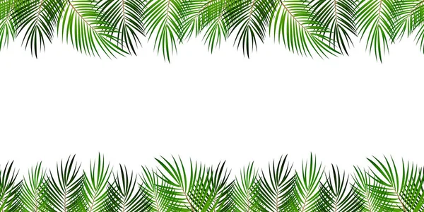 Σκελετός από Palm Leaf με λευκό φόντο. Εικονογράφηση διάνυσμα. — Διανυσματικό Αρχείο