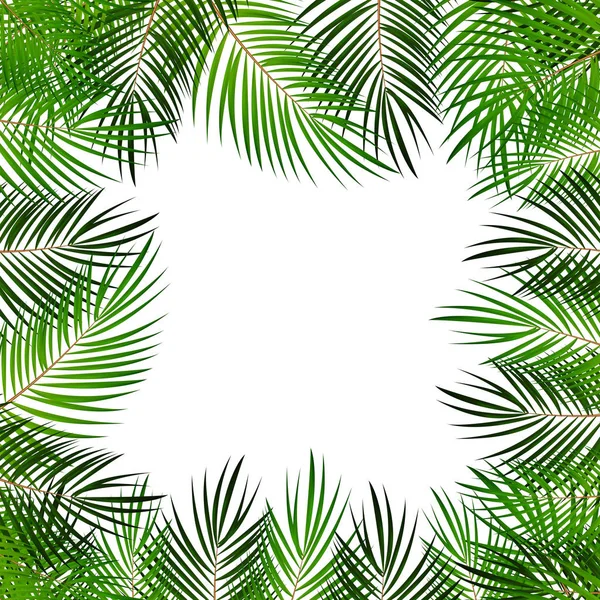 Palm Leaf Vector Background avec cadre blanc Illustration — Image vectorielle