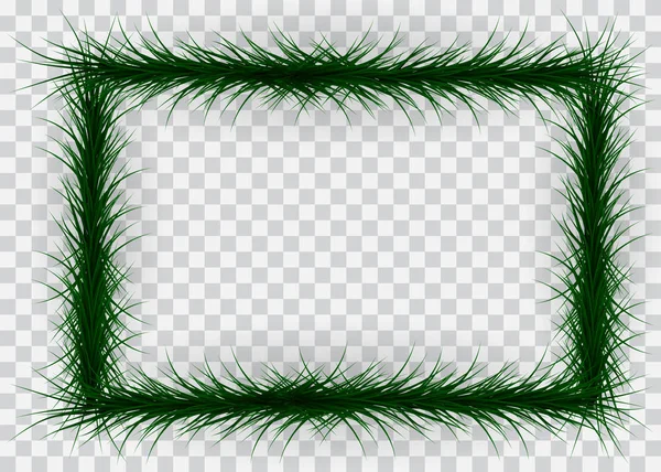 Cadre de branches de conifères colorées sur fond transparent. Illustration vectorielle . — Image vectorielle