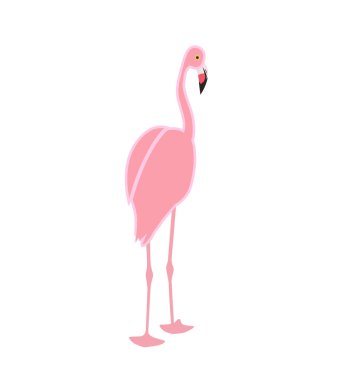 Beyaz arka plan üzerinde izole renkli pembe flamingo. Vektör çizim.