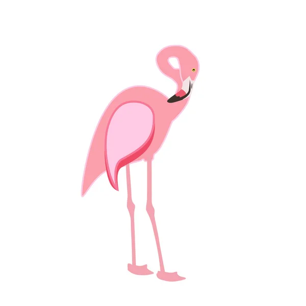 Färgglad rosa flamingo isolerad på vit bakgrund. Vektorillustration. — Stock vektor