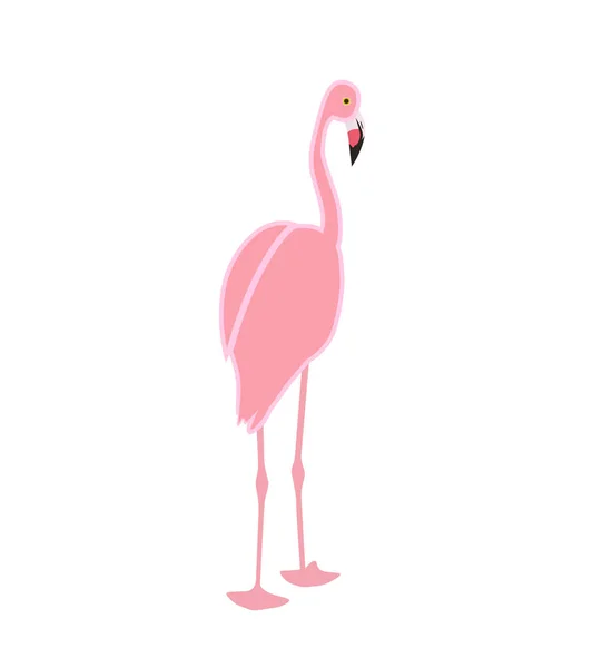 Färgglad rosa flamingo isolerad på vit bakgrund. Vektorillustration. — Stock vektor