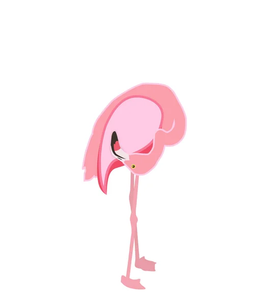 Flamingo rosa colorido isolado sobre fundo branco. Ilustração vetorial . — Vetor de Stock