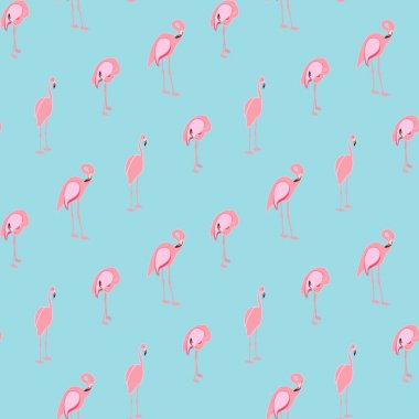 Renkli pembe flamingo üzerinde mavi arka plan izole. Sorunsuz pat