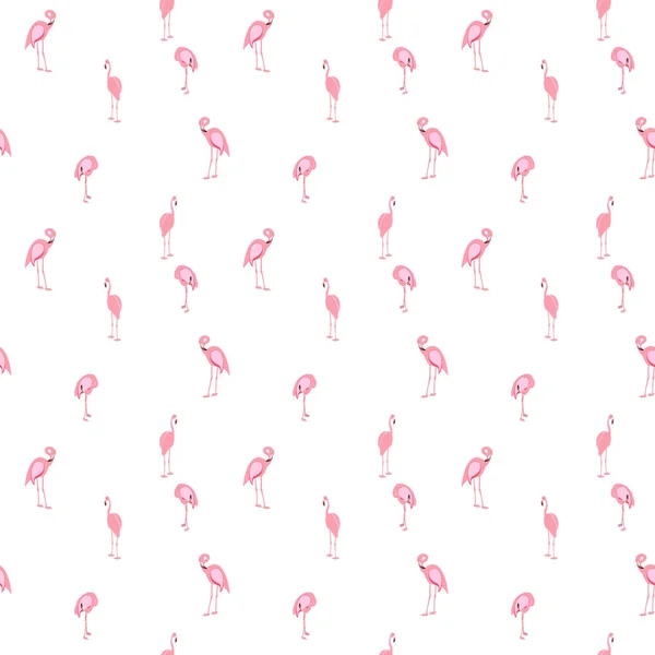 Colorful pink flamingo isolated on white background. Seamless pa — Stock Vector