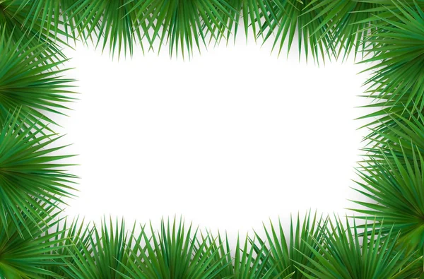 Colorful naturalistic frame from the leaf palm. Vector Illustrat