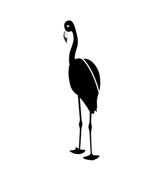 Flamant rose noir et blanc isolé sur fond blanc. Vecte — Image vectorielle