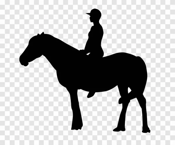 Sticker pour voiture silhouette cavalier sur cheval. Expert en dressage de — Image vectorielle