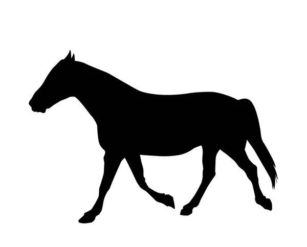 Klistermärke till bil siluett häst. Vektorillustration. — Stock vektor