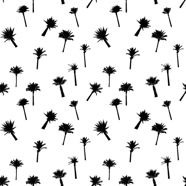 Silhouette of Palm Trees on White Background. Seamless pattern. — Stock Vector