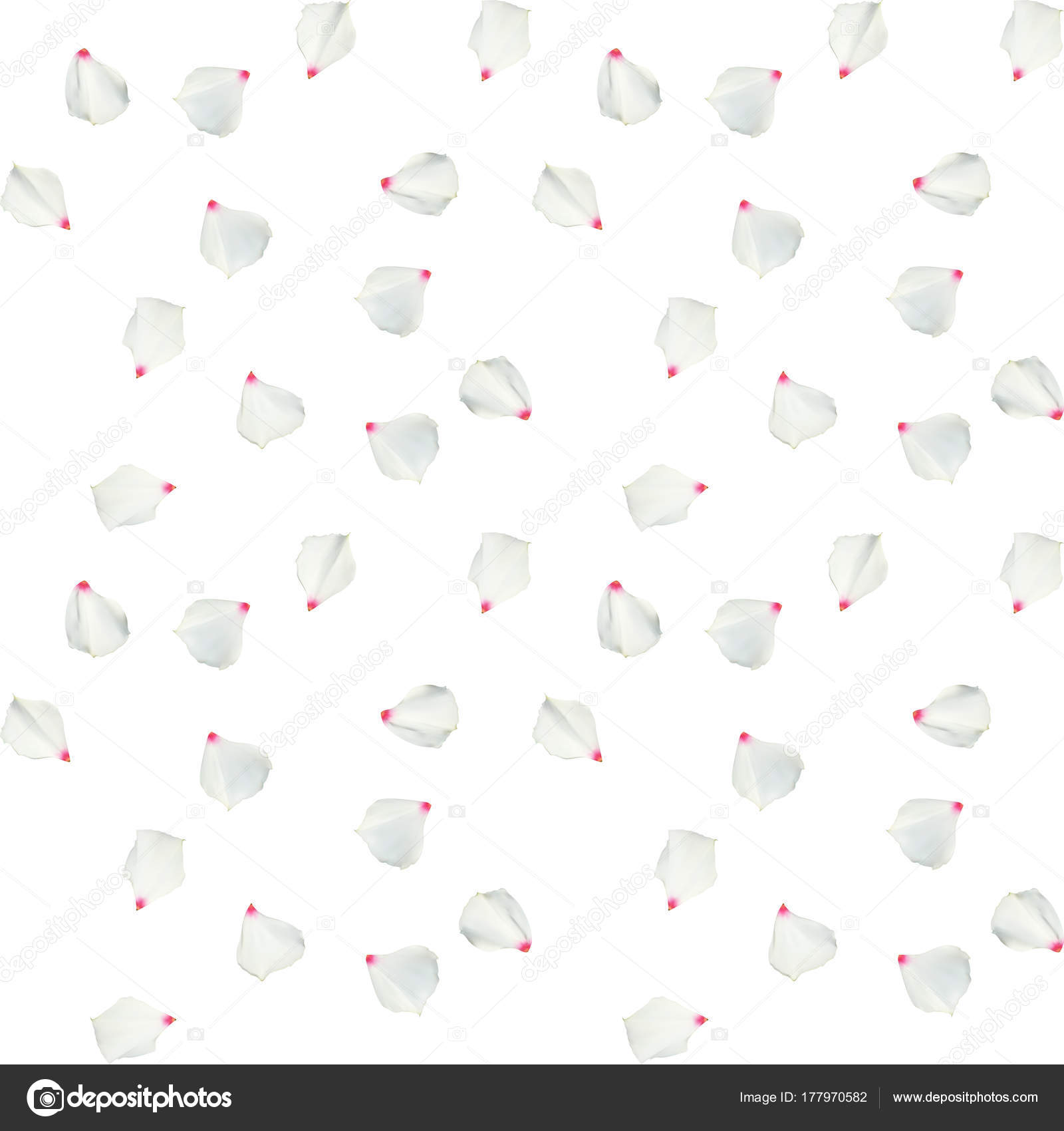 Colorful beautiful naturalistic white flower petals. Seamless pattern