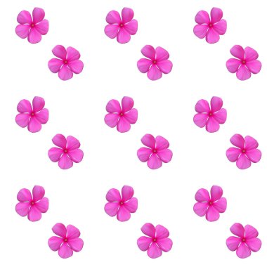 Renkli güzel doğal Pembe çiçek. Seamless modeli. V