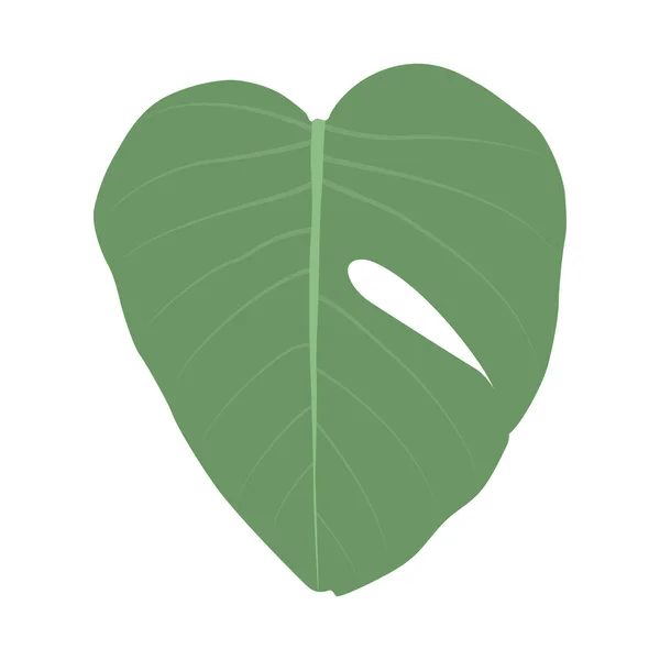 Bunte naturalistische grüne Blätter auf Zweigen. Vektor illustratio — Stockvektor