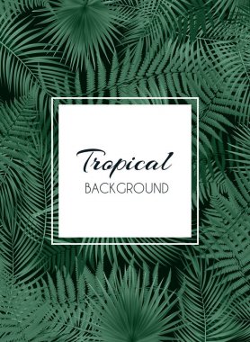 Libis yaprak renkli doğal tropikal kökenli