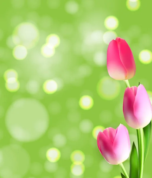 Primavera y Verano Tulipán Flor Fondo Natural. Ilustración vectorial — Vector de stock