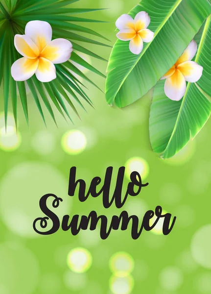 Γεια σας καλοκαίρι φυσικό Floral φόντο με εικονογράφηση διάνυσμα καρέ — Διανυσματικό Αρχείο
