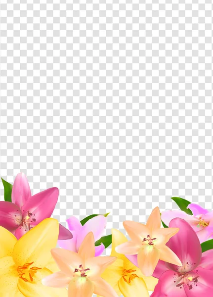 Yaz doğal şeffaf arka plan vektör çizim üzerinde çerçeve çiçek — Stok Vektör
