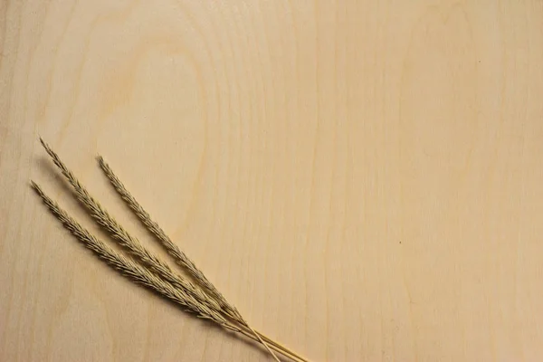 Three ears on a wooden background. Three ears of wheat lie on a wooden surface with yellow veins