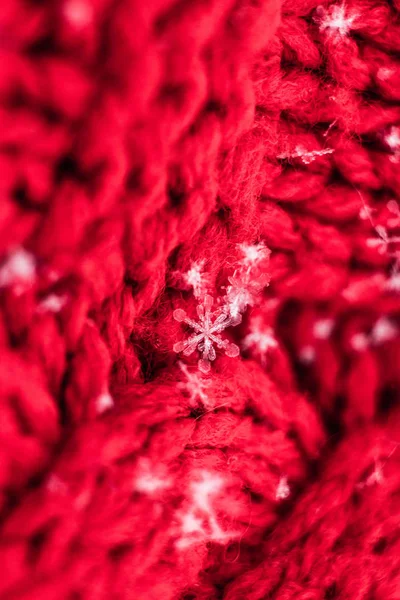 Macrophotography of snowflakes on a red knitted fabric with a large knit