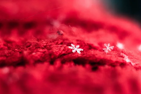 Macrophotography of snowflakes on a red knitted fabric with a large knit