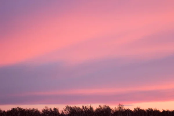 Sunset over the forest, red,  purple, blue and pink clouds