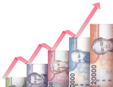 para büyüme grafiği